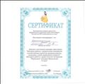 Семинар - практикум (2 часа) "Методика работы с дидактическим материалом способствующем развитию прединженерного мышления у детей дошкольного возраста" (Методика работы с дидактическим материалом "Кирпичики" методика Никитиных), 2018 Семинар - практикум (2 часа) "Методика работы с дидактическим материалом способствующем развитию прединженерного мышления у детей дошкольного возраста" (Методика работы с дидактическим материалом "Кирпичики" методика Никитиных), 2018